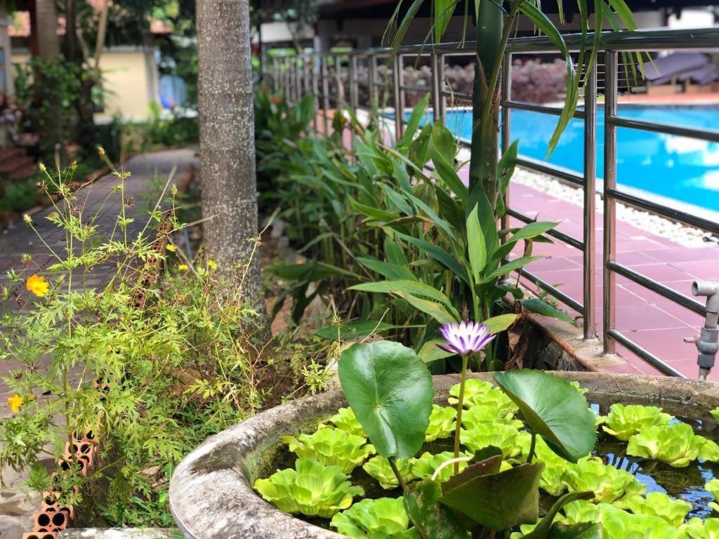 Castaways Resort Phú Quý Zewnętrze zdjęcie